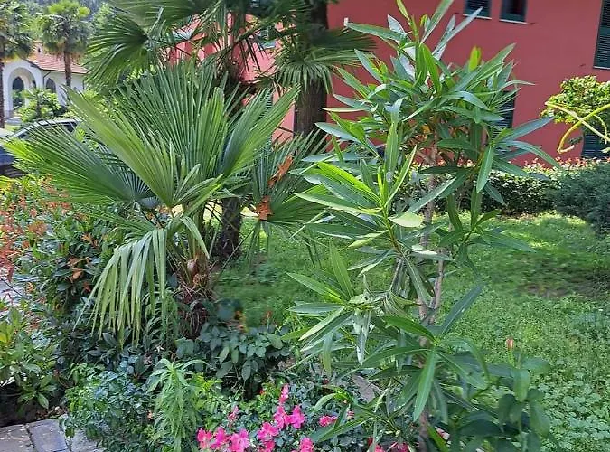 Mambly Ristorante Pizzeria Bed & Breakfast *